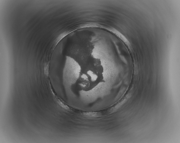 X0000111810953200908061113