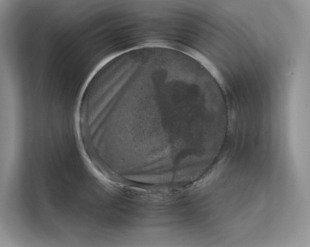 X0000111810955200908061113