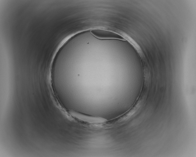 X0000111810956200908061113
