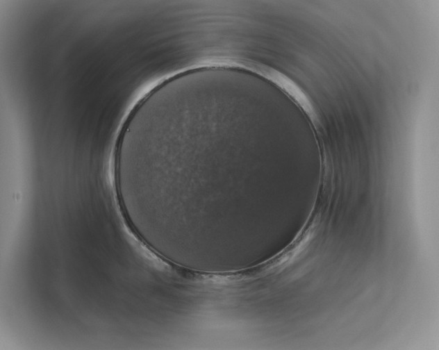 X0000111810958200908061113