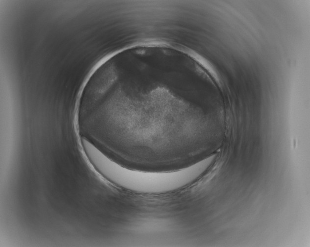 X0000111810959200908061113