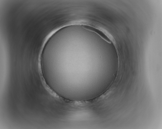 X0000111810960200908061113