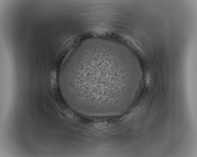 X0000111810964200908061112