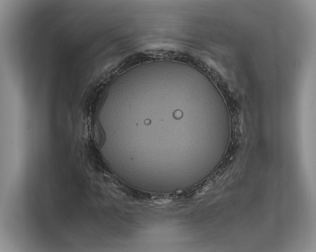 X0000111810965200908061112