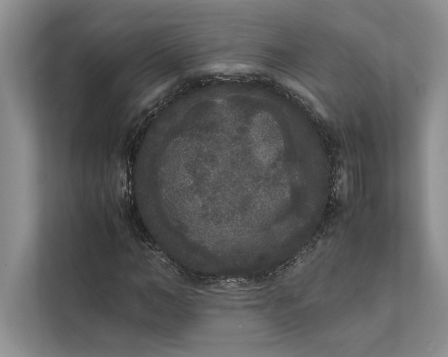 X0000111810966200908061112