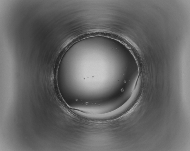 X0000111810969200908061112