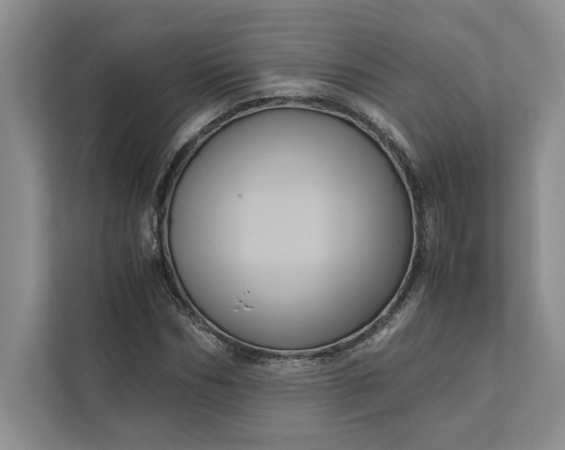 X0000111810970200908061112