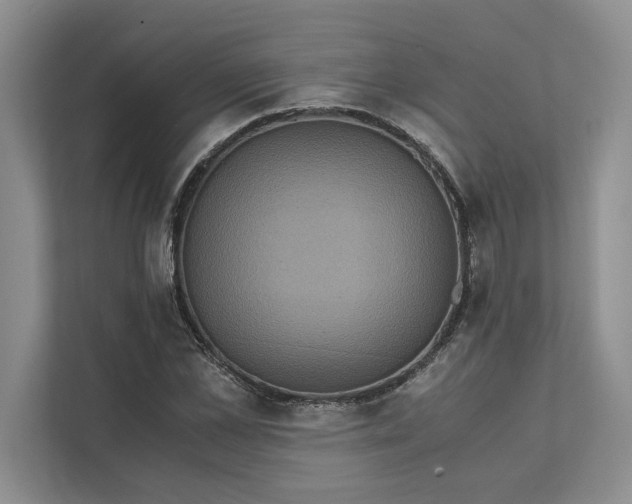 X0000111810973200908061112