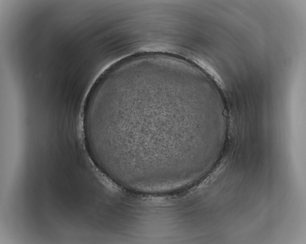 X0000111810976200908061112
