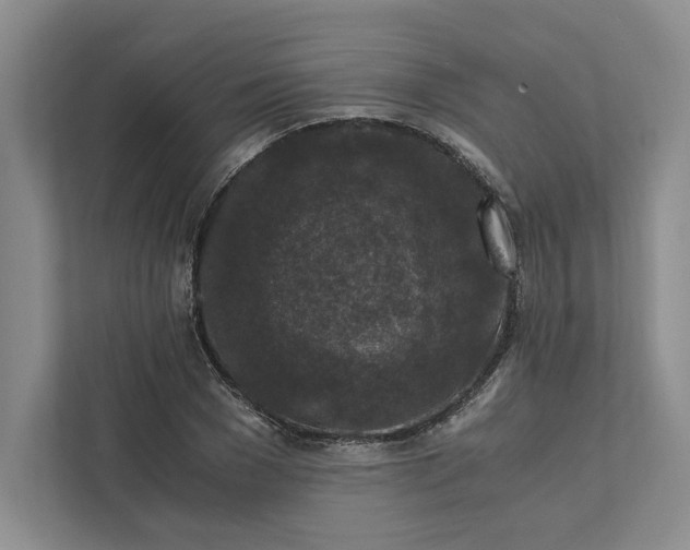 X0000111810977200908061112