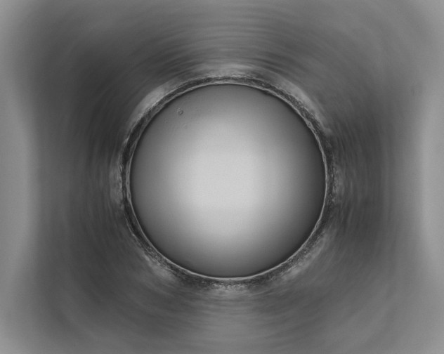 X0000111810978200908061112
