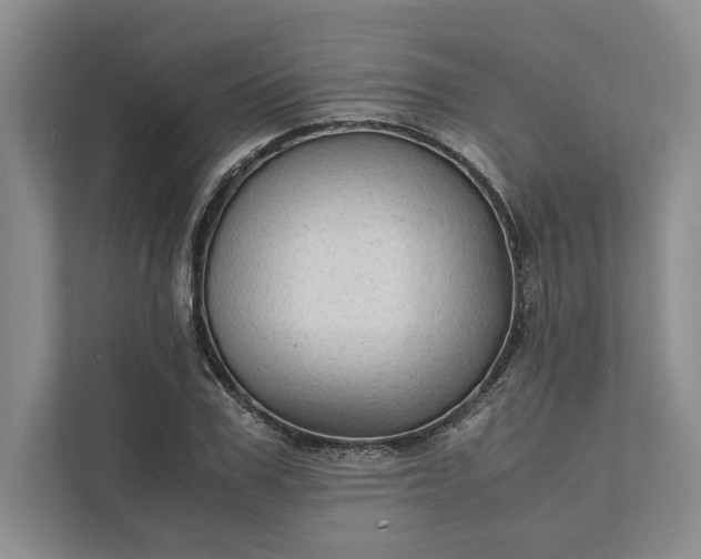 X0000111810979200908061112