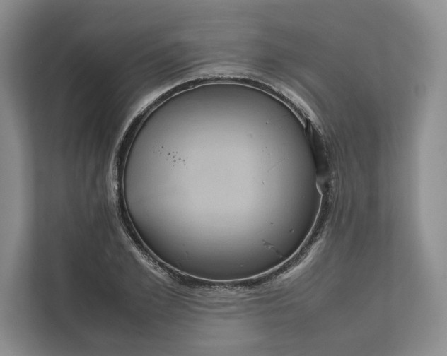 X0000111810981200908061112