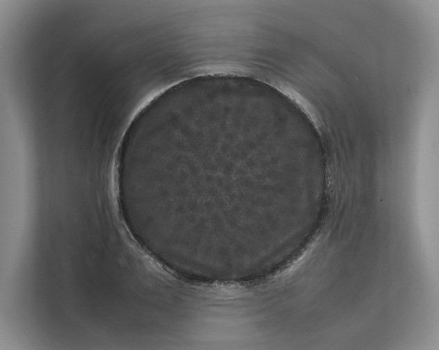 X0000111810983200908061112