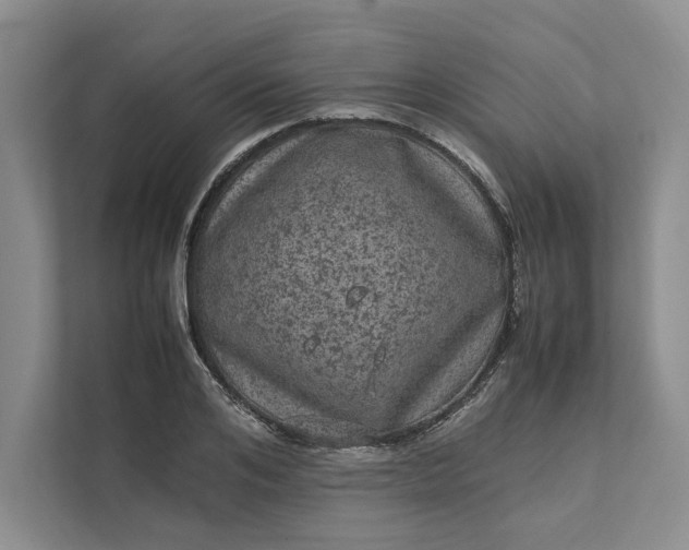 X0000111810984200908061112