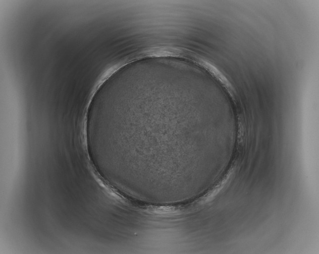 X0000111810986200908061112