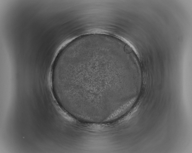 X0000111810987200908061112