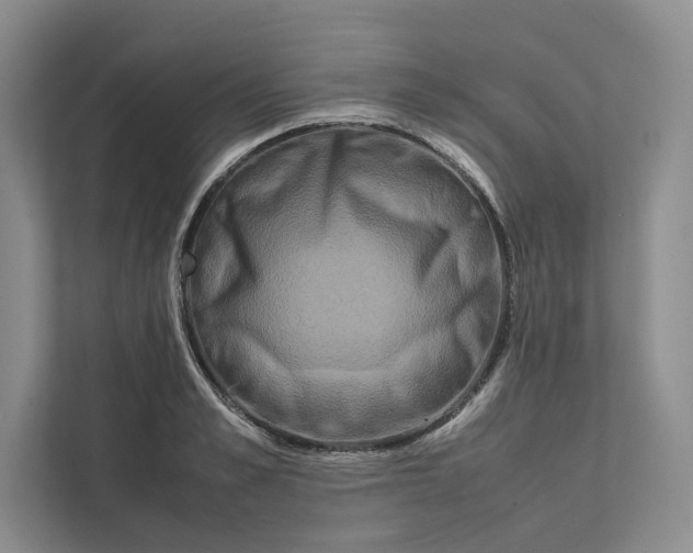 X0000111810989200908061112