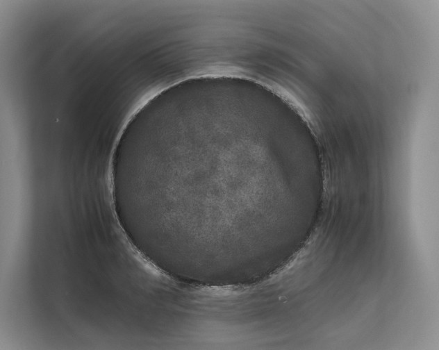 X0000111810990200908061112