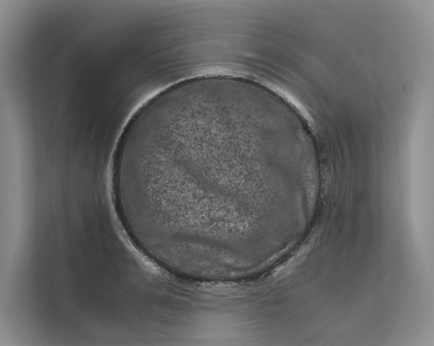 X0000111810991200908061112
