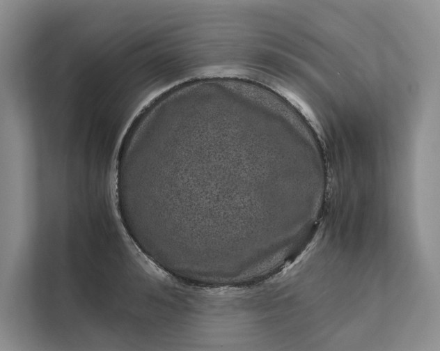X0000111810992200908061112