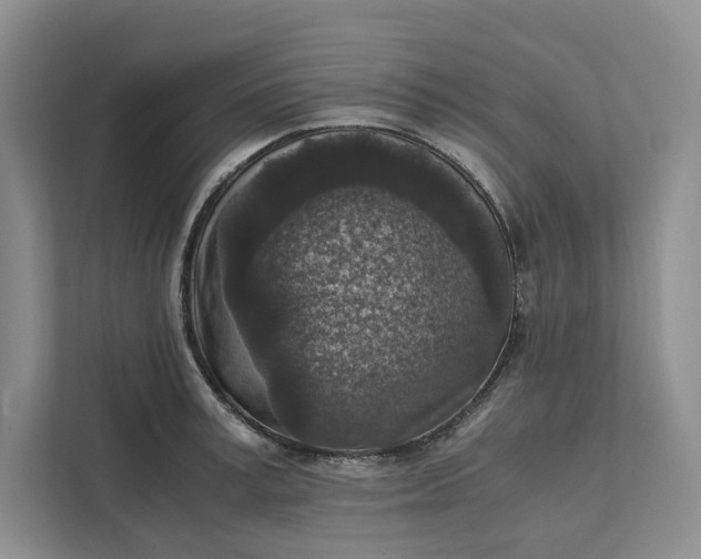 X0000111810995200908061112