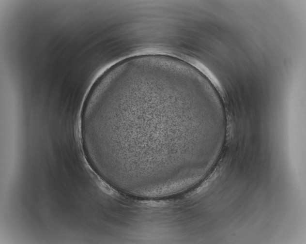 X0000111810996200908061112