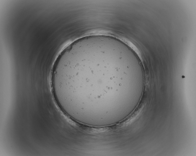 X0000111810997200908061112