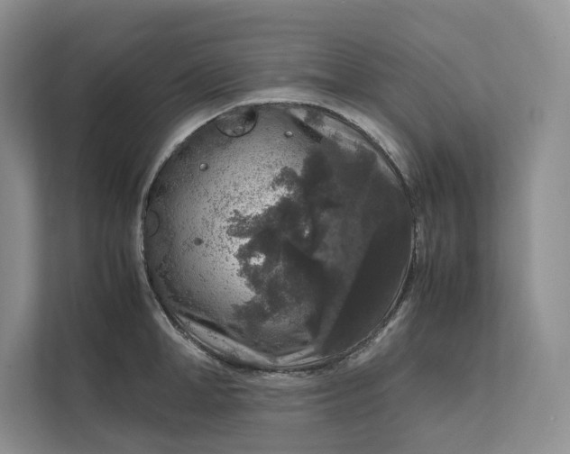 X0000111810998200908061112