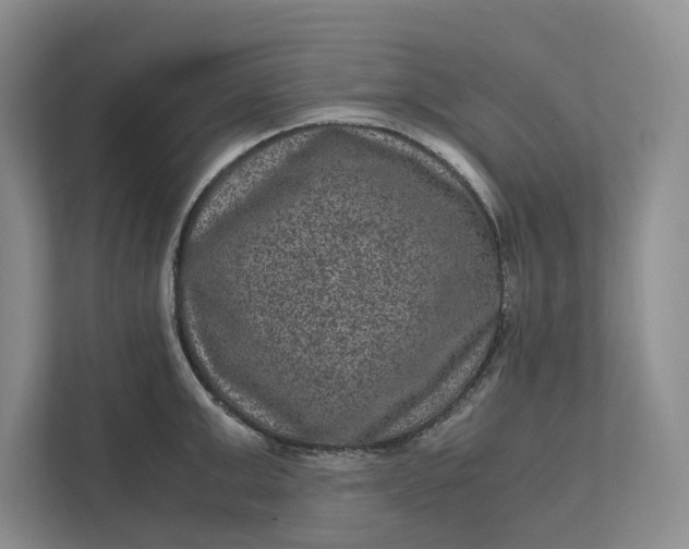 X0000111810999200908061112