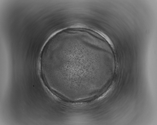 X0000111811000200908061111