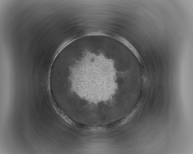 X0000111811002200908061111
