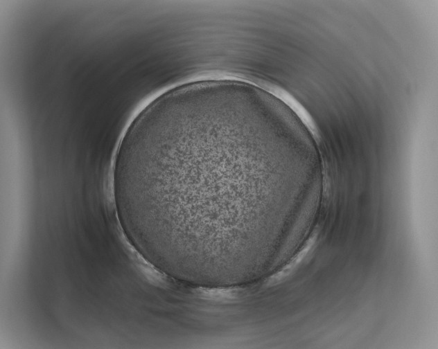 X0000111811004200908061111