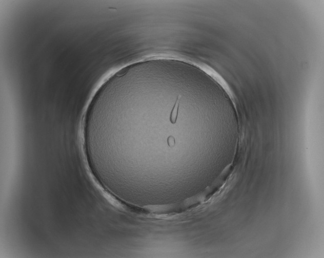 X0000111811005200908061111