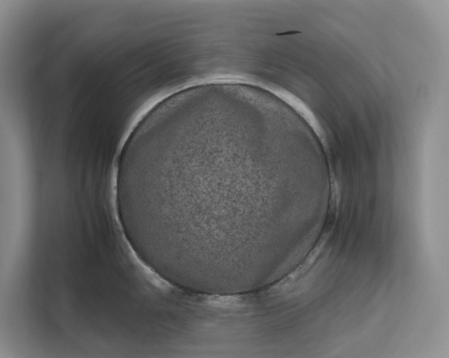 X0000111811006200908061111