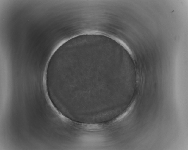 X0000111811007200908061111