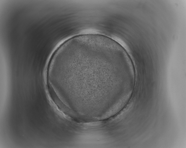 X0000111811008200908061111