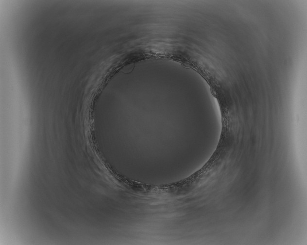 X0000111811009200908061111