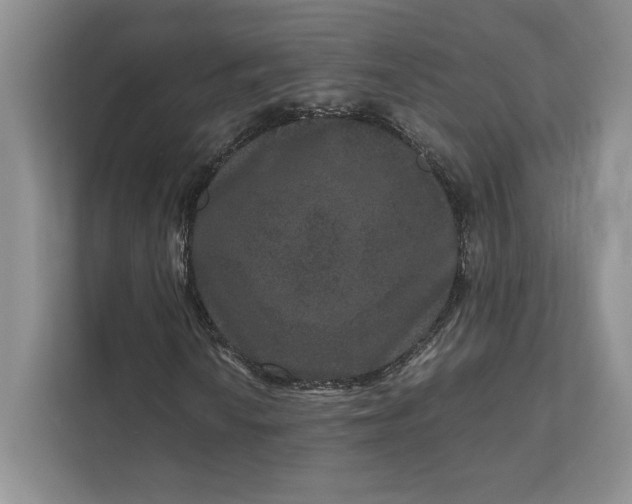 X0000111811010200908061111
