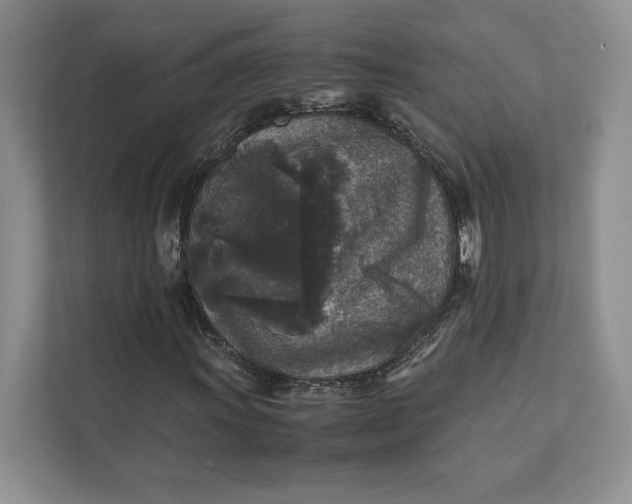 X0000111811011200908061111