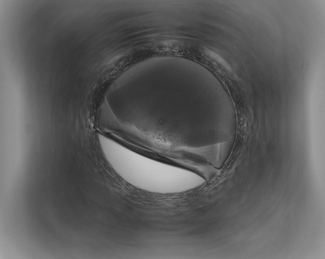 X0000111811013200908061111