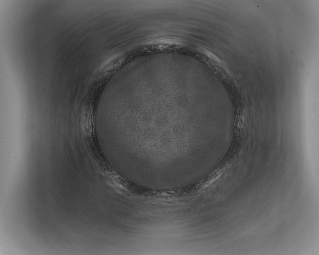 X0000111811014200908061111