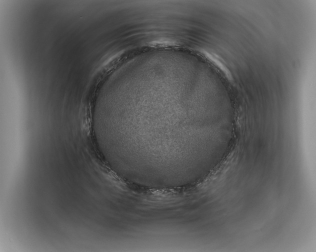 X0000111811015200908061111