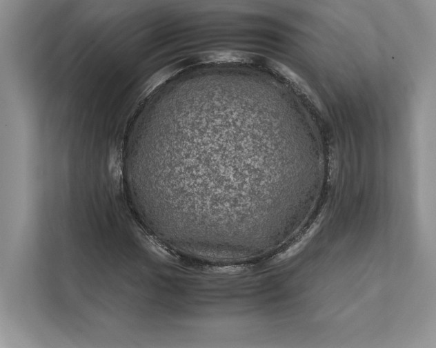 X0000111811017200908061111