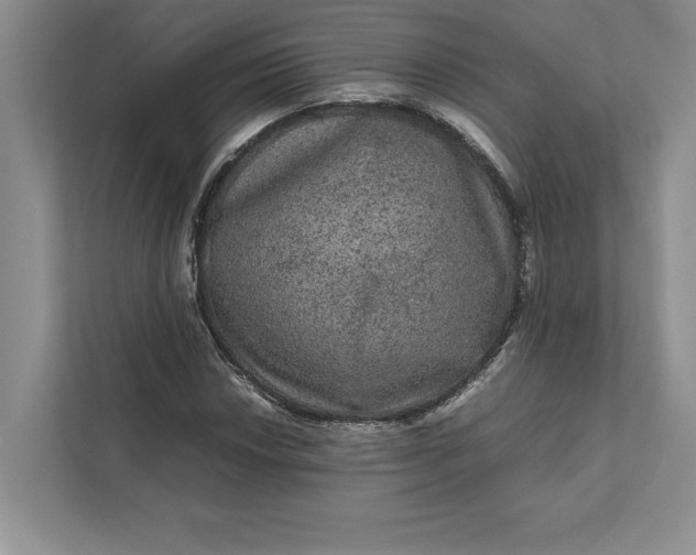 X0000111811018200908061111