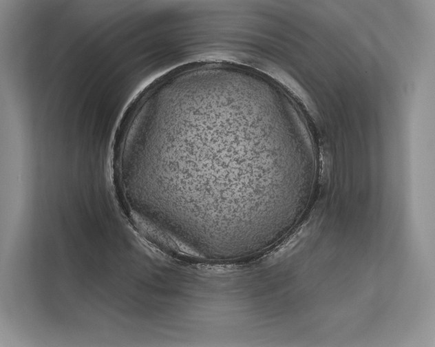 X0000111811020200908061111