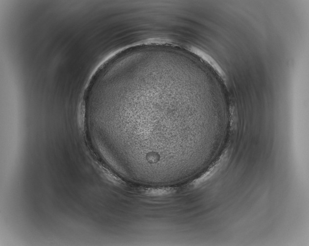 X0000111811021200908061111