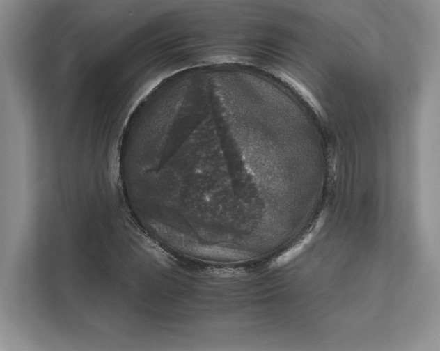 X0000111811023200908061111