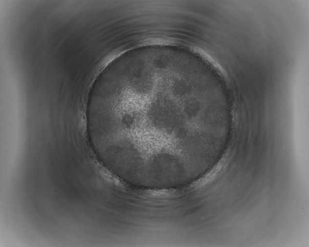 X0000111811025200908061111