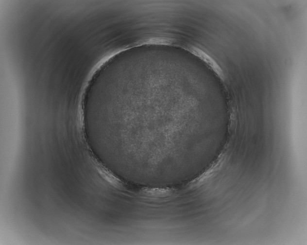 X0000111811027200908061111